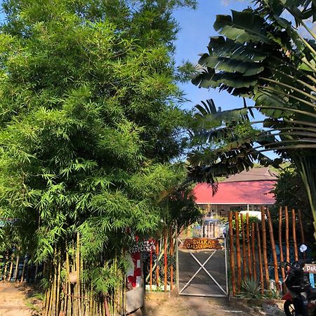 Shaka Garden House Langkawi Apartman Pantai Cenang  Kültér fotó