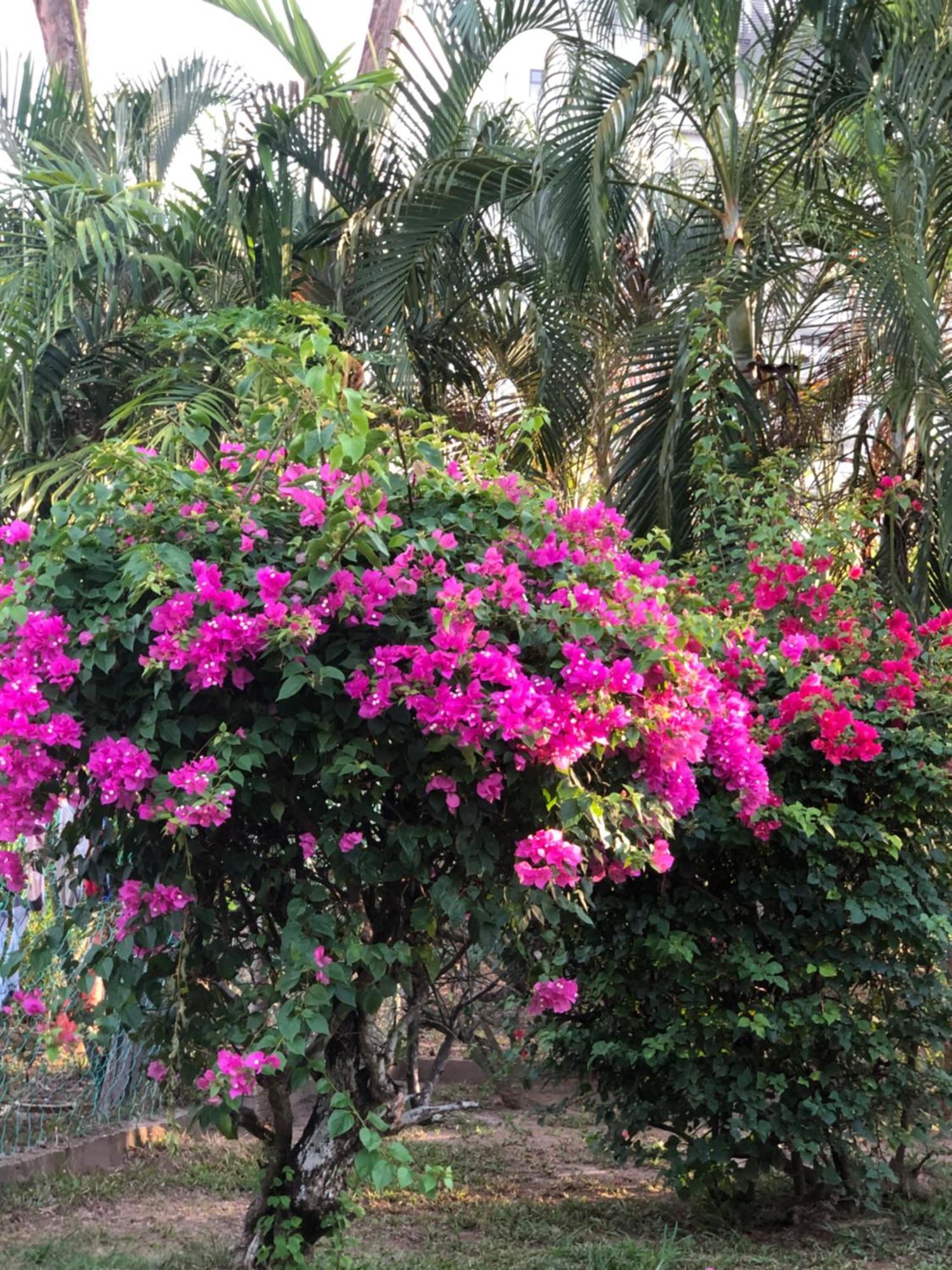 Shaka Garden House Langkawi Apartman Pantai Cenang  Kültér fotó